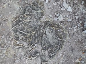 Kriskras sedimentere patrone wat die era dui 
